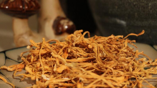 3 Healthy Alternatives to Coffee