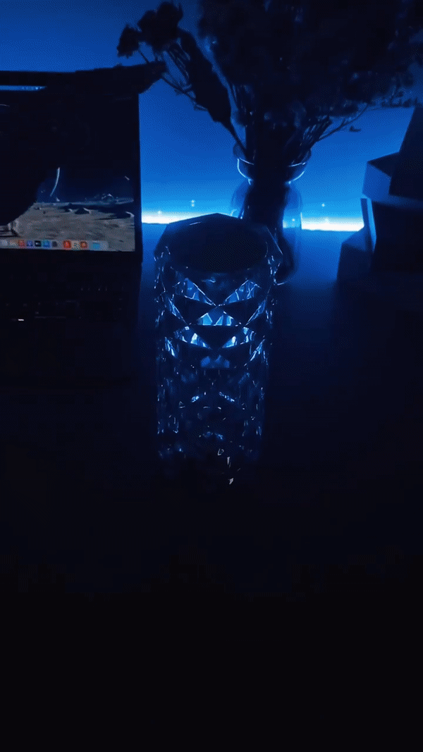 Crystal Rose Color Changing Touch Control + Remote Control Lamp